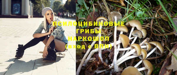 молекула духа Сатка