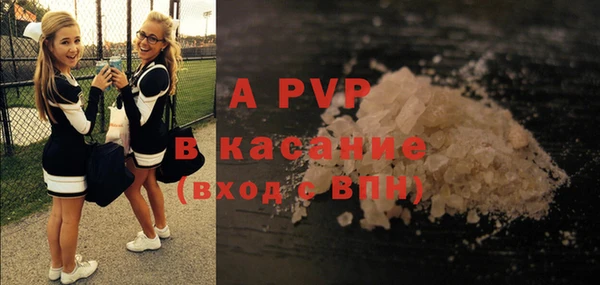 молекула духа Сатка